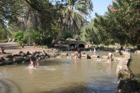 הכי קיץ שיש: לילות ביערות | טיולים של קק"ל