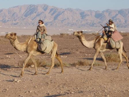 מה עושים: ראש השנה 2012