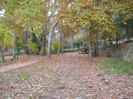 שלכת: מסלולי טיול של סתיו