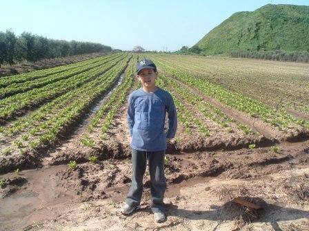 בלי לכלוך וריח: טיול בזבל