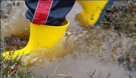 משפריצים: טיולי שלוליות