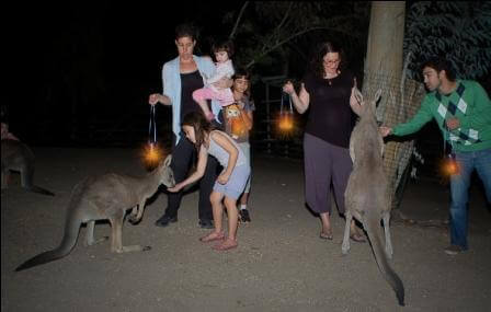 בחושך: סיורי חנוכיות ועששיות