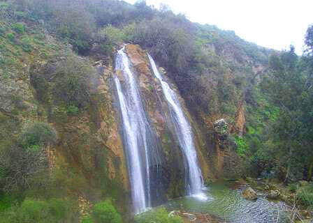 בחינם: סיורים מודרכים בצפון
