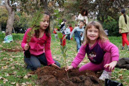 טו בשבט: אירועים ופסטיבלים
