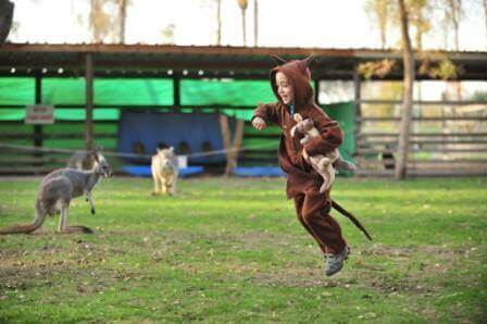 הפנינג פורים: גן גורו ופארק המעיינות