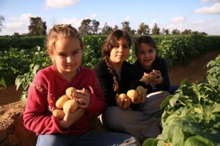 מטיילים ונהנים בפסח: הנגב