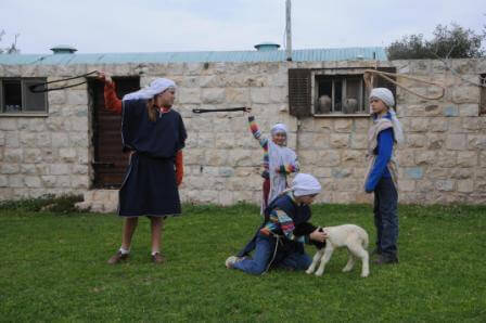 מטיילים ונהנים בפסח: הצפון