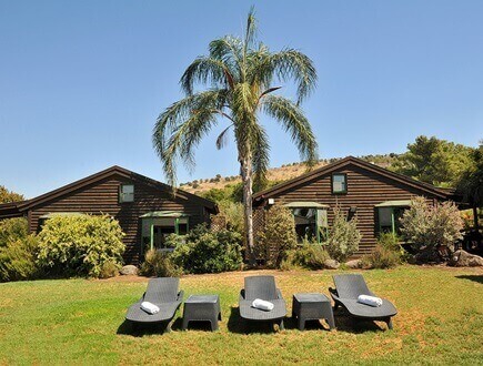 בין מים לשמיים: מרכז נגה