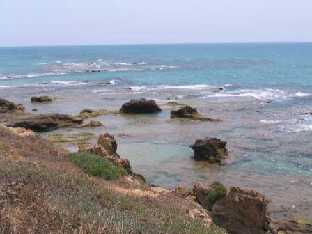 חוף כשר: לא רק בפסח