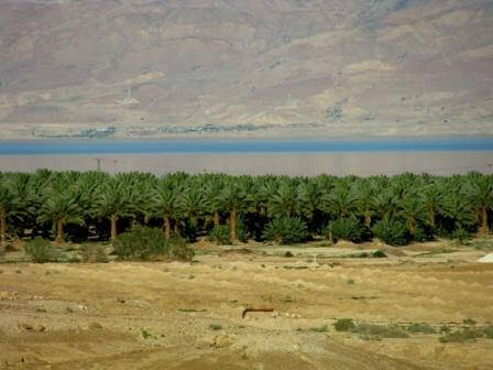 חופשה משולשת: בטן גב, טיולים ובריאות