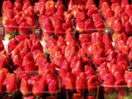 שישי שוק בתל אביב  