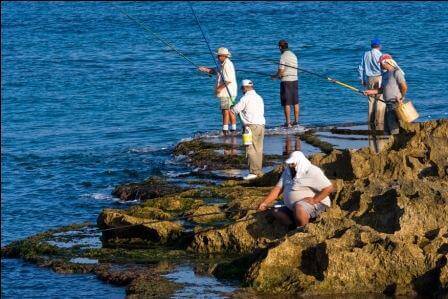 חודש יוני: מה נעשה ואיפה נטייל?