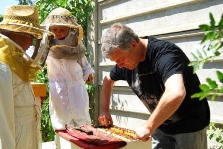 מה בכוורת? פסטיבל הדבש 2013