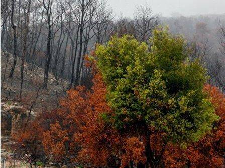באווירת החג: טיולים לסוכות