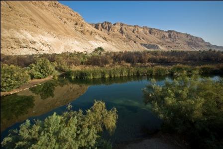 מטיילים במדבר הזורם