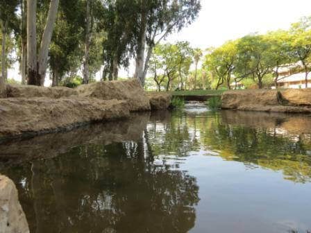 נובמבר: טיולים וסיורי טבע