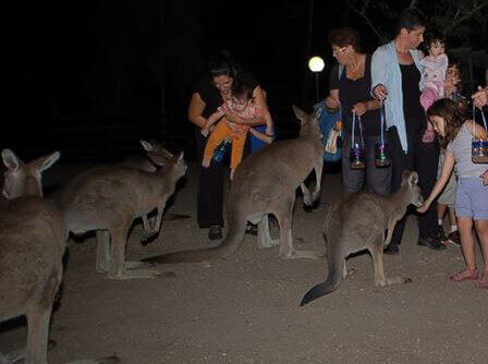אור חנוכה: סיורי עששיות