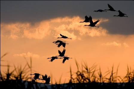 יוצאים מהבית: מה עושים בדצמבר?