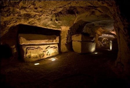 מה עושים בינואר: סיורים ופעילויות טבע