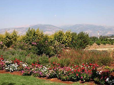 בלב הגליל: חופשה בבית הלל