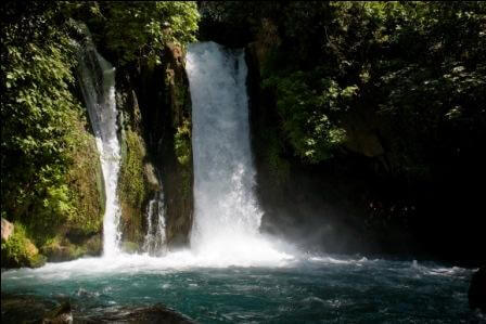 אביב בחוץ: אירועי מרץ בטבע