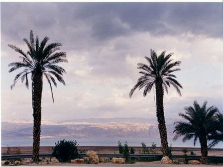 איך לארגן טיול לים המלח