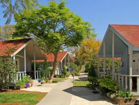 פסטורליה כפרית: חופשה מושלמת בקיבוץ