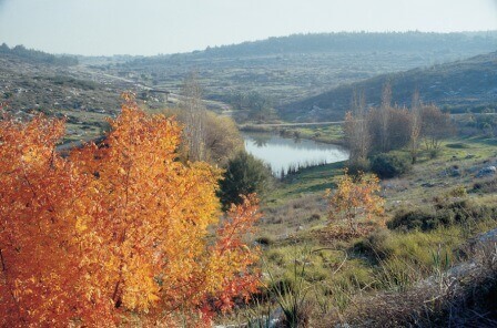 קיץ תנכ"י : פארק נאות קדומים