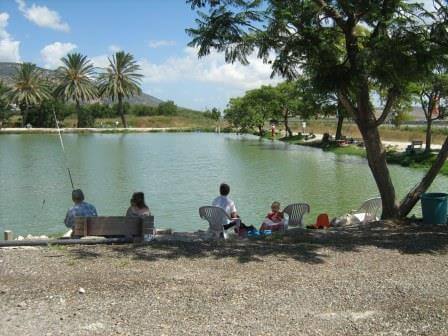 דג בכפר, לא רק דגים