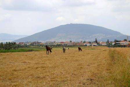מרחבים בכפרים