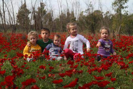 הכי כיף לילדים</div>
        <div id=