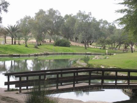 פארק אשכול (צילום לבנת גינצבורג)