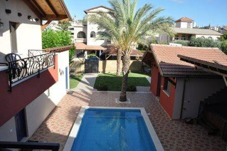 הדקל והפקאן