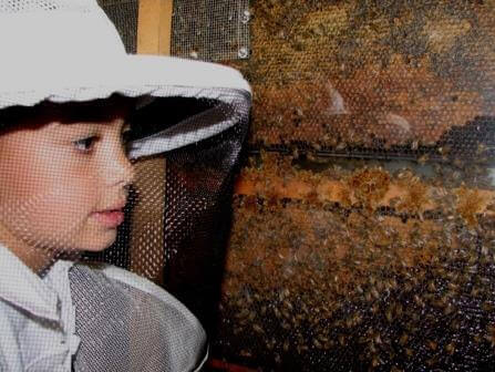 יד מרדכי (צילום אילן מאירי)