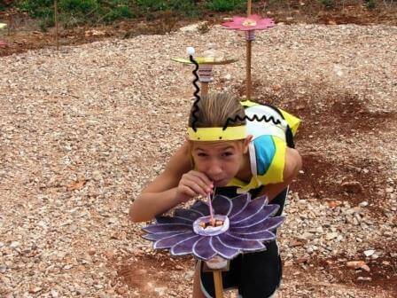 מכוורת מתוקה בפרחי הגליל (צילום יח"צ)