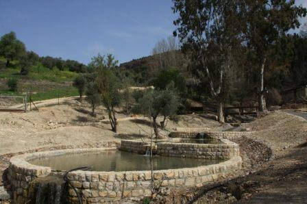 הבריכה העליונה בפארק (צילום קק"ל)