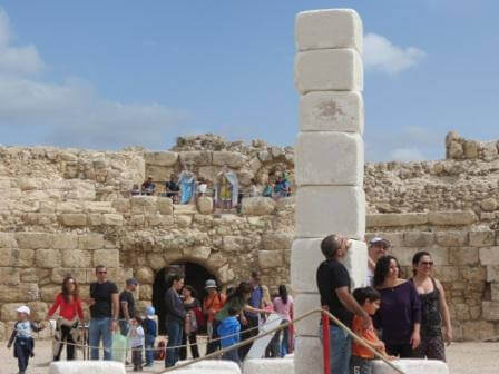 פעילות לכל המשפחה גם ביום (צילום אייל מיטרני)