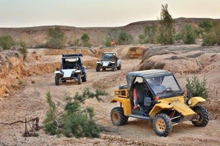 טיולי שטח בערבה (צילום דימה שבצנקו)