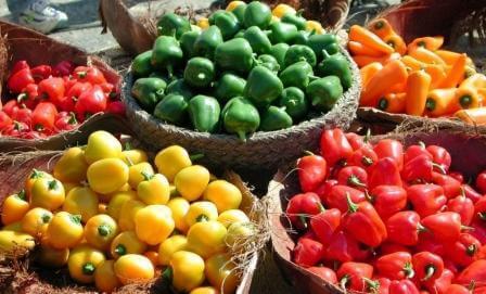 פלפלים מכל הסוגים, ייחודי לערבה (צילום יח"צ)