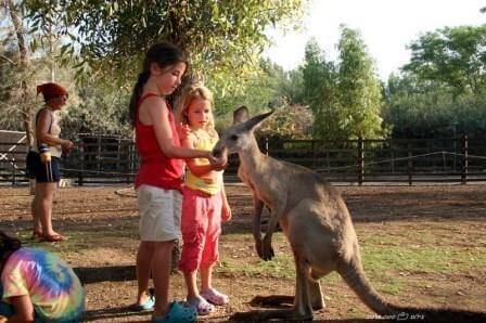 גן גורו, צילום סשה אלכוב