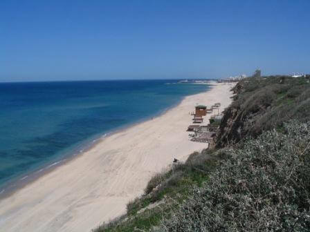 גן לאומי חוף אשקלון (צילום: חנן לבבי)