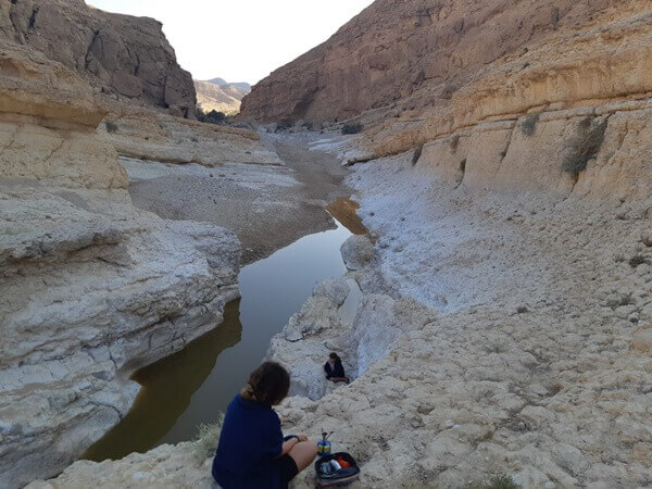 קונצרטיול באדיבות רשות הטבע והגנים