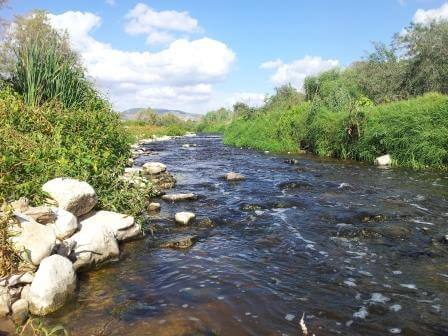 נחל שורק, צילום דב גרינבלט