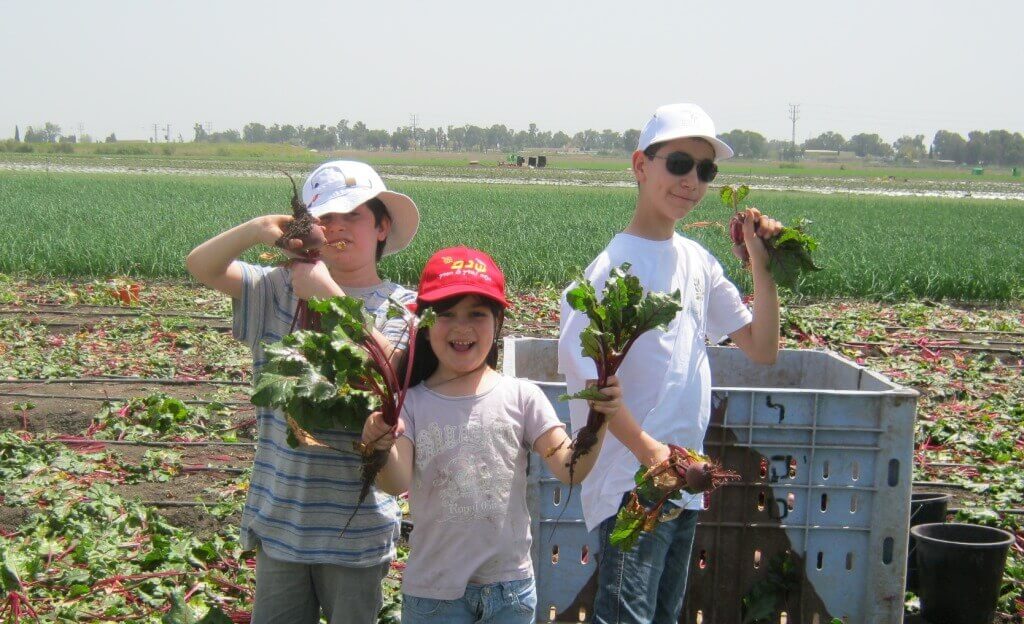 תרומה לקהילה אבל עם הרבה כיף והנאה (התמונה באדיבות לקט ישראל)