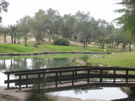 פארק אשכול המרשים (צילום לבנת גינצבורג)