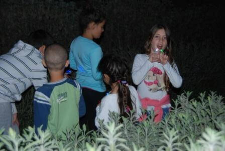 חוויה לילית, מלאה ריחות , צבעים וטעמים