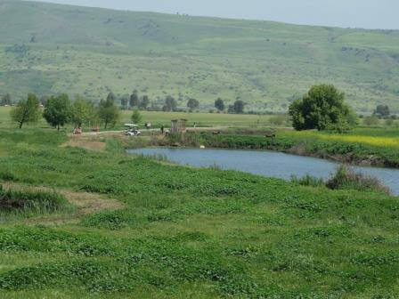 אחד המקומות שהכי מסמ</div>
        <div id=