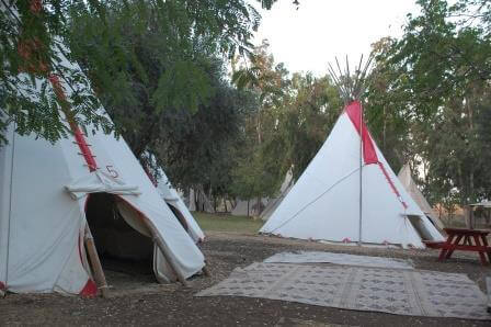 בסגנון אינדיאני (צילום יח"צ)