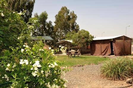 גם לשומרי הכשרות (צילום גולן דהן)