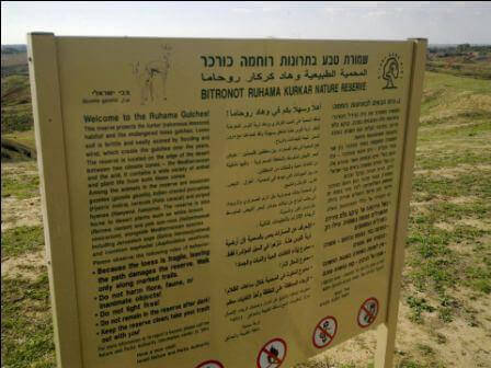 בתרונות רוחמה, מרחבים ללא סוף (צילום דנה נמדר)